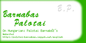 barnabas palotai business card